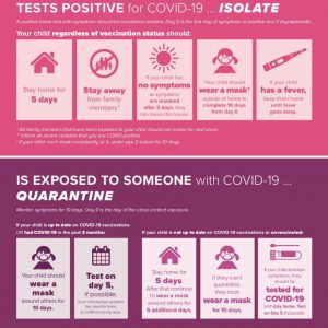 COVID guidelines